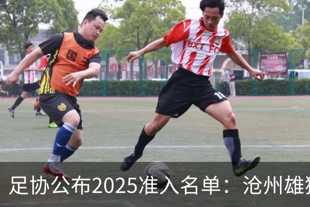 足协公布2025准入名单：沧州雄狮、广州队无缘